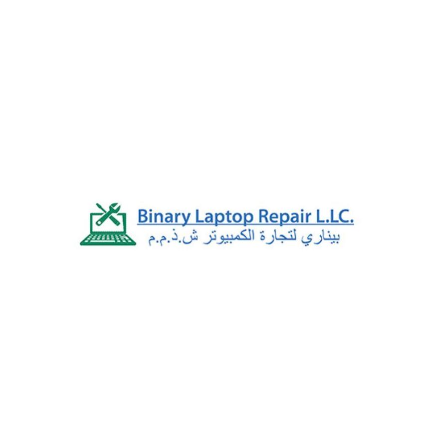 Binary Repair